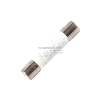 Fusible (250v 15a)