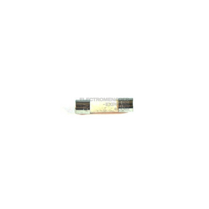 Fusible principale