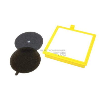 KIT FILTRE HEPA SORTIE MOTEUR + FILTRE PRÉ-MOTEUR
