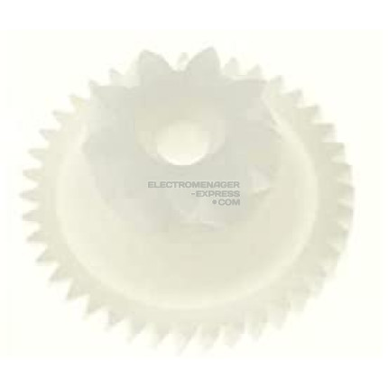 Pignon blanc