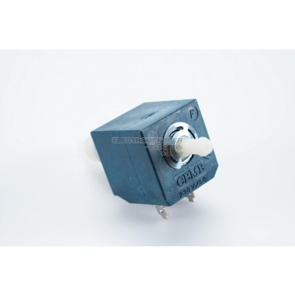 Pompa centrale (e300 e3000nn01240b2)