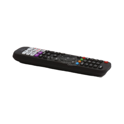 REMOTE CONTROL EN2J30H
