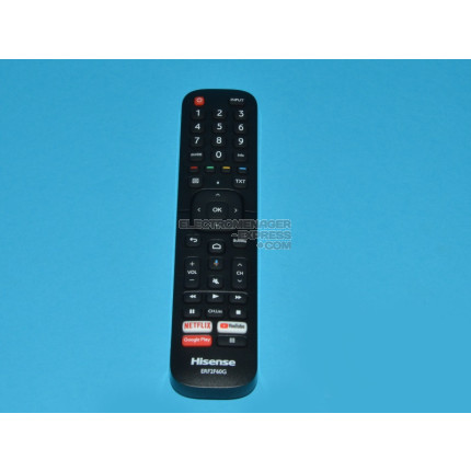 REMOTE CONTROL ERF2F60G