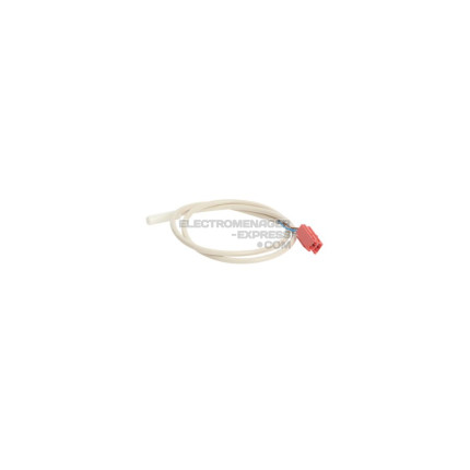 Sonde CTN