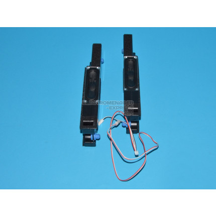 SPEAKER ASSEMBLY HE75A6170FUWTS