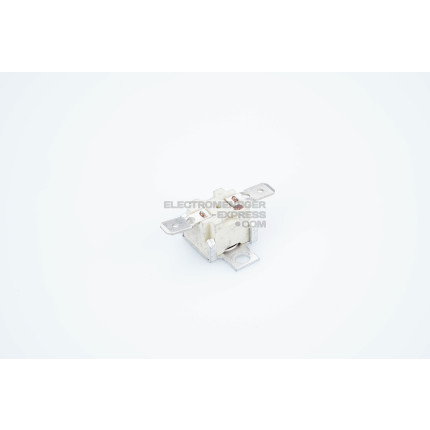 Thermmostat (100°c)