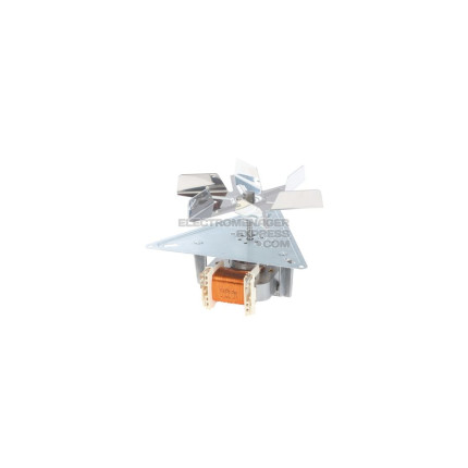 Ventilateur du moteur
