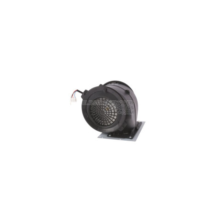 Ventilateur du moteur