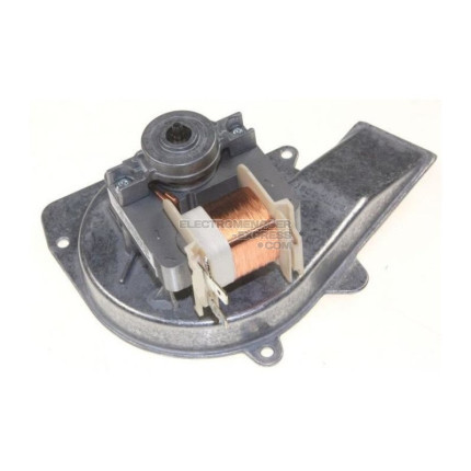 Ventilateur du moteur