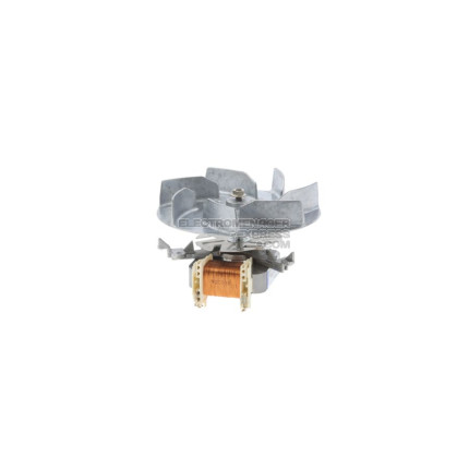 Ventilateur du moteur