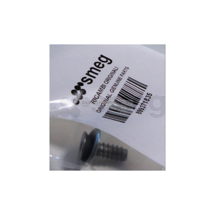 Vis pour brûleur auto-taraudeuse 5,9px19 inox