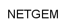 NETGEM