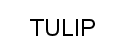 TULIP